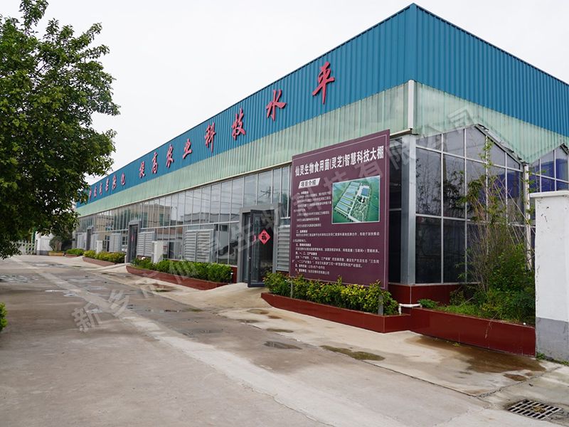 基地环境